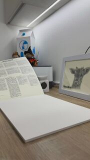 Y como no publicar hoy esta belleza 🦇🎃
Les comparto parte del proceso de ilustración y les juro que no me logro sacar esta canción de la cabeza 🥲 esta es mi propuesta para el concurso organizado por @hombremurcielagodemexico que me encantó y quise participar. 🦇🦇

Si quieren chismosear la especie es el murciélago pinto (Euderma maculatum) y me parece absurdo como hay de pocas ilustraciones de algunos murciélagos sobre todo teniendo en cuenta el valor que tienen e incluso la falta de investigación en algunas especies. 

#unajessjess #art #illustration #ilustracion #scientificillustration #ilustracioncientifica #bats #mucielagos #acuarela #acuarella