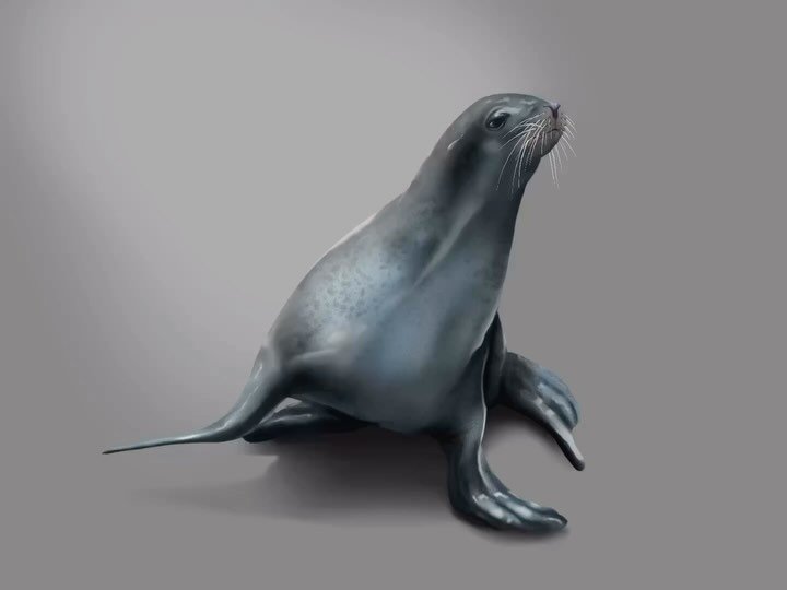 Un estudio rápido de un león marino (1:30H) y aprovechando las funciones de @procreate del Timelapse para mostrar el proceso 🦭
#unajessjess #illustration #scientificillustration #ilustracioncientifica #digitalart #procreate #art #digitalpainting