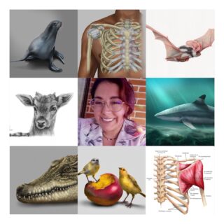 Aprovecho mi cumpleaños 🎈 para publicar mi #artvsartist2024 y autocelebrar mi proceso artístico y crecimiento personal ✨ fue un año de muchas ilustraciones (algunas que puedo publicar y otras que se quedan secretas aún 🤫) y sobre todo de estar rodeada de mucho mucho amor ✨🫶🏽

#unajessjess #scientificillustration #illustration #ilustracióncientífica #ilustracionnaturalista #digitalart #art #arte #visualart